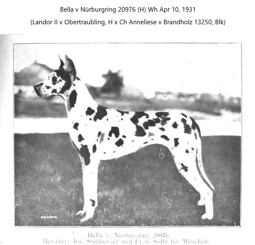 Bella v Nurburgring
